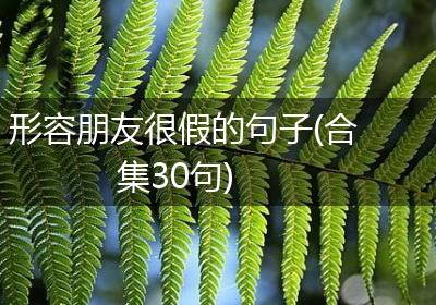形容朋友很假的句子(合集30句)