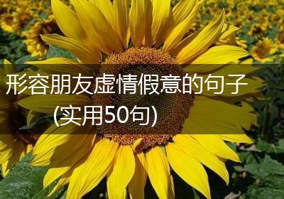 形容朋友虚情假意的句子(实用50句)