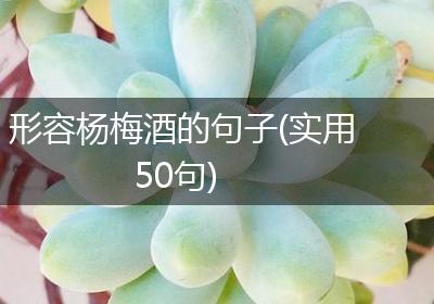 形容杨梅酒的句子(实用50句)