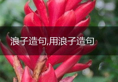 浪子造句,用浪子造句