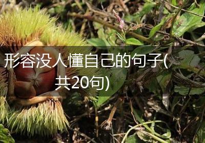 形容没人懂自己的句子(共20句)