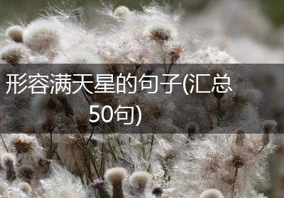 形容满天星的句子(汇总50句)