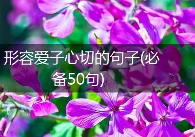 形容爱子心切的句子(必备50句)
