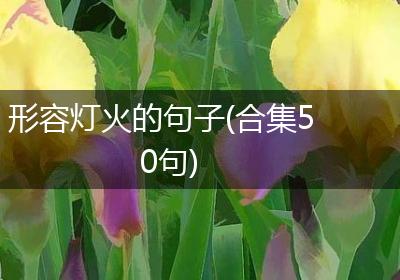形容灯火的句子(合集50句)