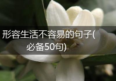 形容生活不容易的句子(必备50句)