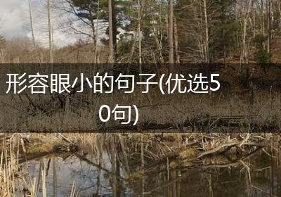 形容眼小的句子(优选50句)
