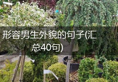 形容男生外貌的句子(汇总40句)