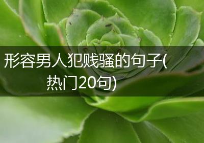 形容男人犯贱骚的句子(热门20句)