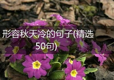 形容秋天冷的句子(精选50句)