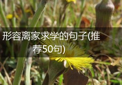 形容离家求学的句子(推荐50句)