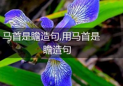 马首是瞻造句,用马首是瞻造句