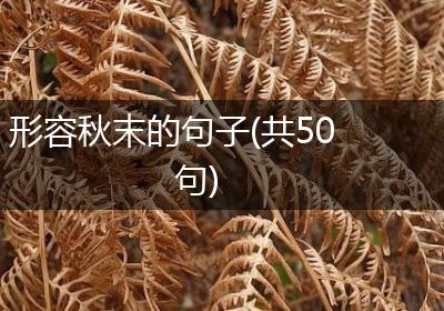 形容秋末的句子(共50句)
