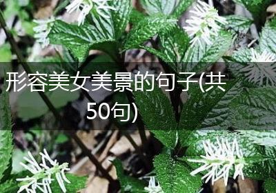 形容美女美景的句子(共50句)