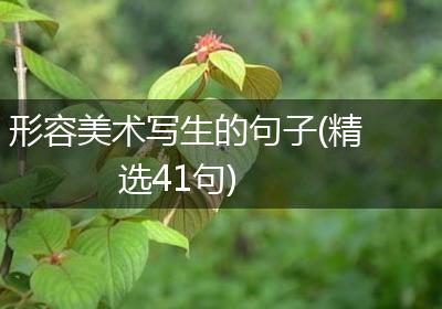 形容美术写生的句子(精选41句)