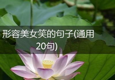 形容美女笑的句子(通用20句)