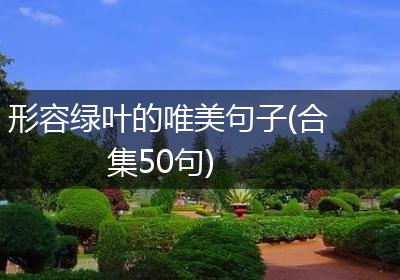 形容绿叶的唯美句子(合集50句)
