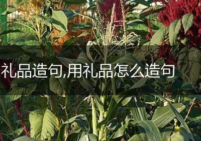 礼品造句,用礼品怎么造句