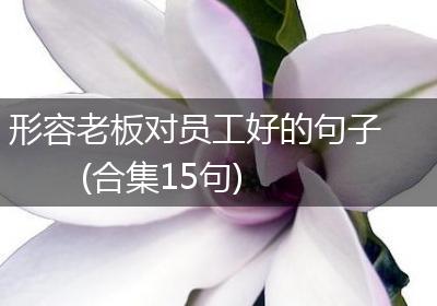 形容老板对员工好的句子(合集15句)