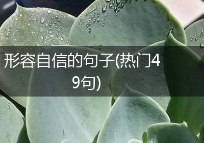 形容自信的句子(热门49句)