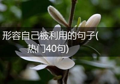 形容自己被利用的句子(热门40句)
