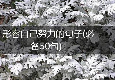 形容自己努力的句子(必备50句)