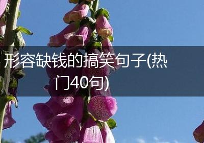 形容缺钱的搞笑句子(热门40句)