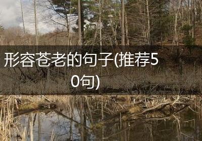形容苍老的句子(推荐50句)