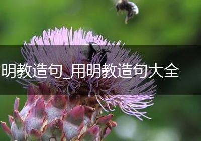 明教造句_用明教造句大全