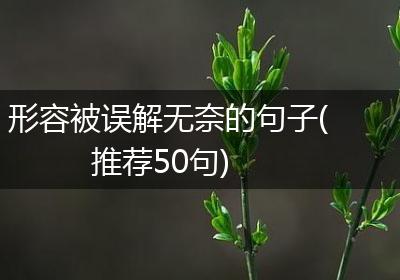 形容被误解无奈的句子(推荐50句)