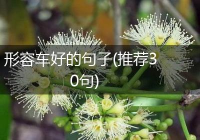 形容车好的句子(推荐30句)