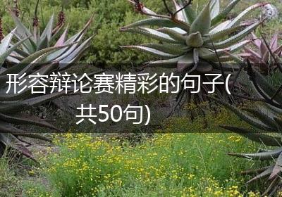 形容辩论赛精彩的句子(共50句)
