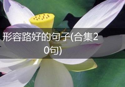 形容路好的句子(合集20句)