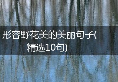 形容野花美的美丽句子(精选10句)