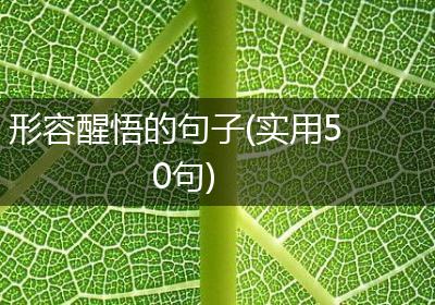 形容醒悟的句子(实用50句)
