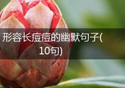 形容长痘痘的幽默句子(10句)