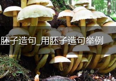 胚子造句_用胚子造句举例