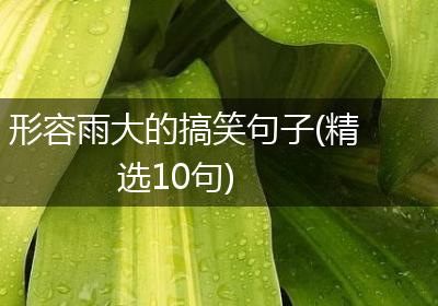 形容雨大的搞笑句子(精选10句)