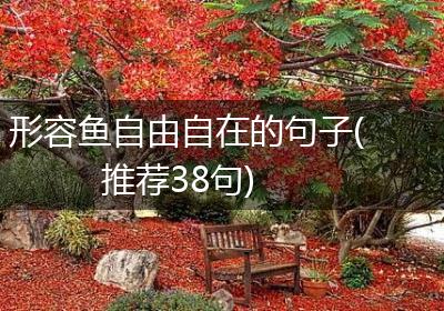 形容鱼自由自在的句子(推荐38句)