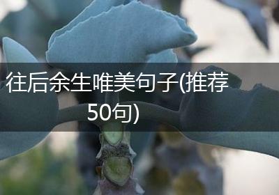 往后余生唯美句子(推荐50句)