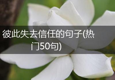 彼此失去信任的句子(热门50句)