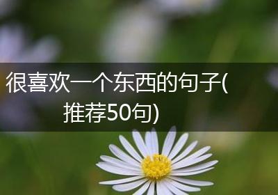 很喜欢一个东西的句子(推荐50句)