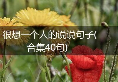 很想一个人的说说句子(合集40句)