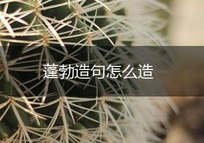 蓬勃造句怎么造