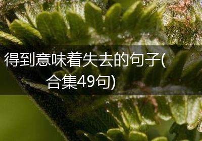 得到意味着失去的句子(合集49句)