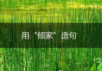 用“倾家”造句