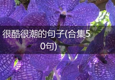 很酷很潮的句子(合集50句)