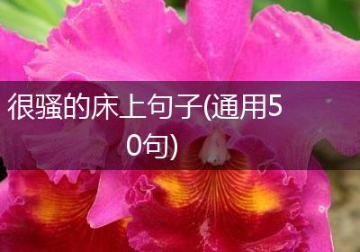 很骚的床上句子(通用50句)