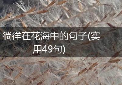 徜徉在花海中的句子(实用49句)