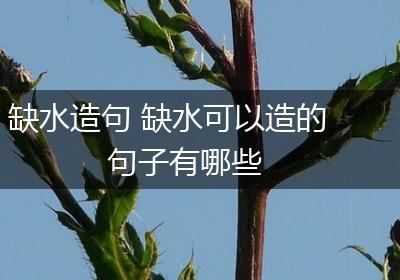 缺水造句 缺水可以造的句子有哪些