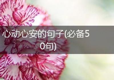 心动心安的句子(必备50句)